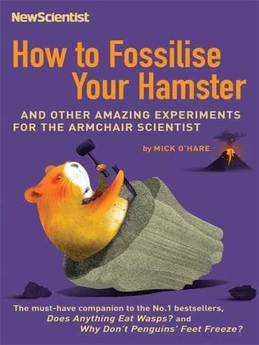 Tapa de How to Fossilise Your Hamster