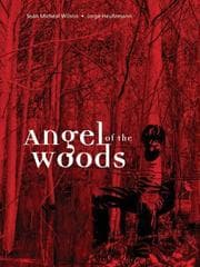 Tapa de Angel of the Woods