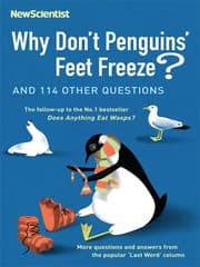 Tapa de Why Don't Penguins' Feet Freeze?