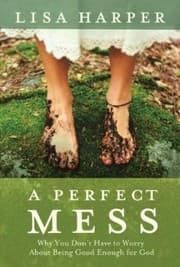Tapa de A perfect mess
