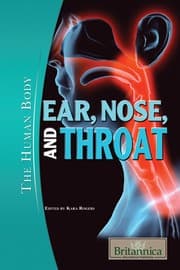 Tapa de Ear, nose, and throat