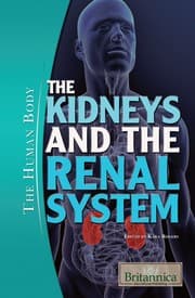 Tapa de The kidneys and the renal system