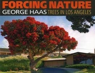 Tapa de Forcing Nature