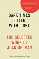 Tapa de Dark times filled with light