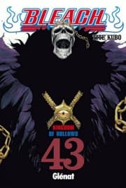 Tapa de Kingdom of Hollows