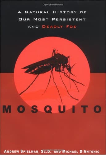 Tapa de Mosquito