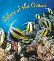 Tapa de Colors of the ocean