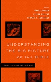 Tapa de Understanding the big picture of the Bible