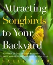 Tapa de Attracting songbirds to your backyard