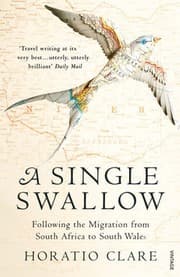 Tapa de A Single Swallow Following an Epic Journey from South Africa to South Wales