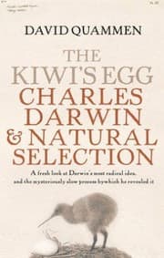 Tapa de The kiwi's egg