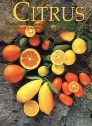 Tapa de Citrus