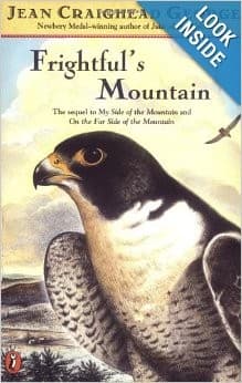 Tapa de Frightful's mountain
