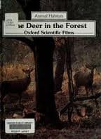 Tapa de The deer in the forest