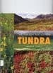 Tapa de Tundra