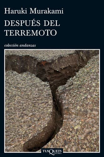 Tapa de Después del terremoto