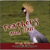 Tapa de Feathers and hair (Animal Features)