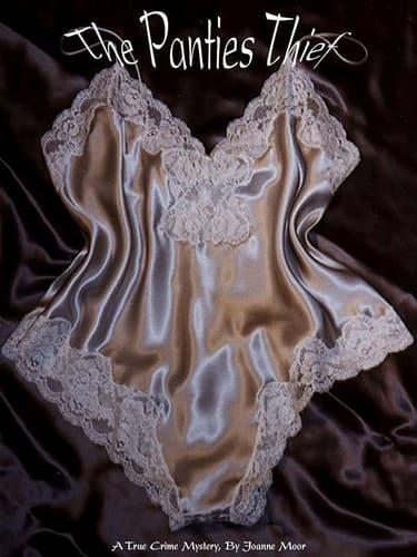 Tapa de The Panties Thief v.1