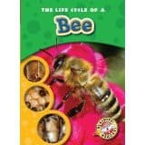 Tapa de The life cycle of a bee