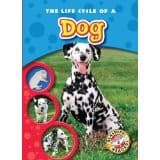 Tapa de The life cycle of a dog