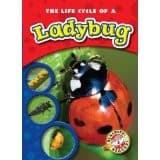 Tapa de The life cycle of a ladybug