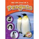 Tapa de The life cycle of a penguin