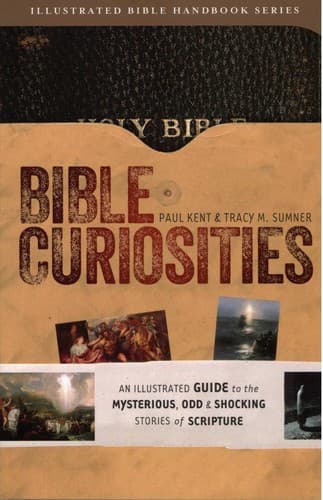 Tapa de Bible Curiosities