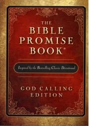 Tapa de Bible Promise Book, The