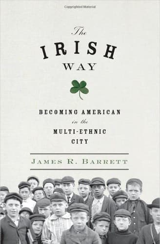 Tapa de The Irish way