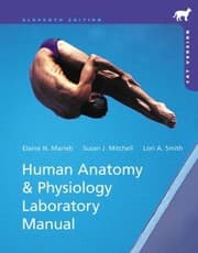 Tapa de Human Anatomy & Physiology Laboratory Manual, Cat Version / Edition 11