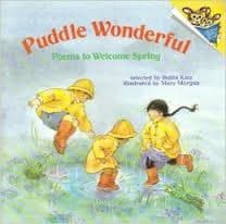 Tapa de Puddle Wonderful