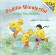 Tapa de Puddle Wonderful