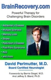 Tapa de Brainrecovery.Com