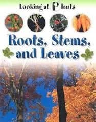 Tapa de Roots, stems, and leaves