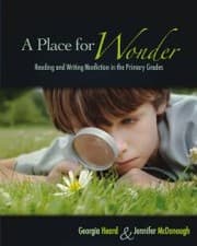 Tapa de A place for wonder