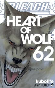 Tapa de Bleach Volume 62 -Fully Fixed