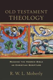 Tapa de Old Testament theology