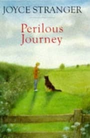 Tapa de Perilous Journey