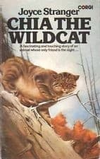 Tapa de Chia, the wildcat