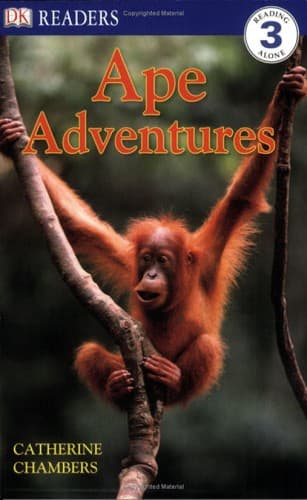 Tapa de Ape Adventures