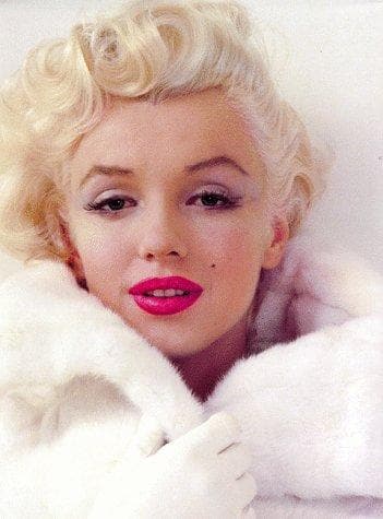 Tapa de Milton's Marilyn