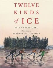 Tapa de Twelve kinds of ice
