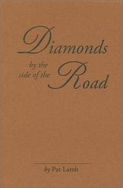 Tapa de Diamonds by the side of the Road