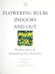 Tapa de Flowering bulbs indoors and out
