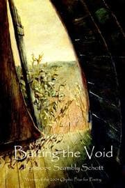 Tapa de Baiting the Void