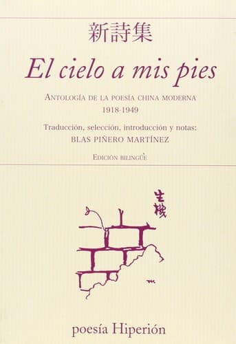 Tapa de El cielo a mis pies