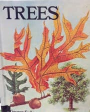 Tapa de Trees