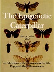 Tapa de The Epigenetic Caterpillar