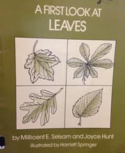 Tapa de A First Look at Leaves