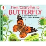 Tapa de From caterpillar to butterfly